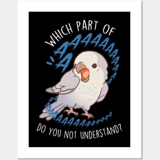 Pallid Grey Quaker Parrot Aaaa Posters and Art